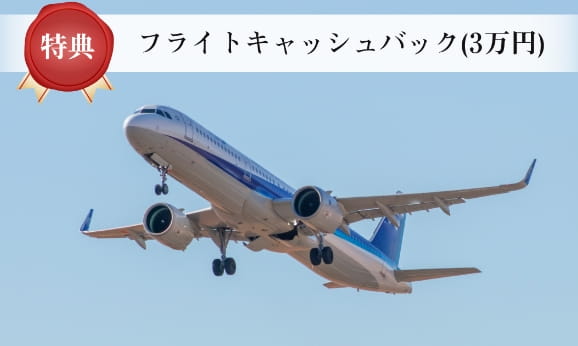 飛行中の青い旅客機の写真