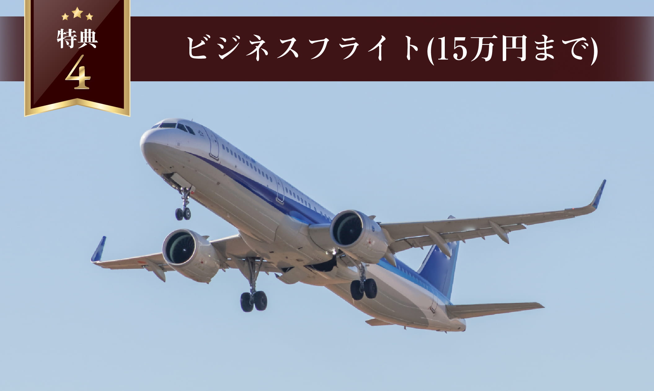 ビジネスフライト特典画像（上限あり）
