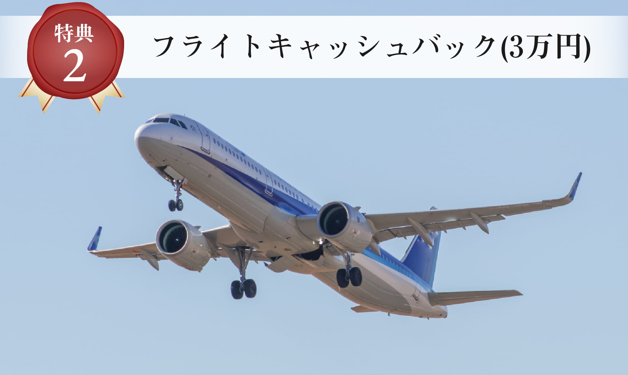 旅客機の飛行シーン